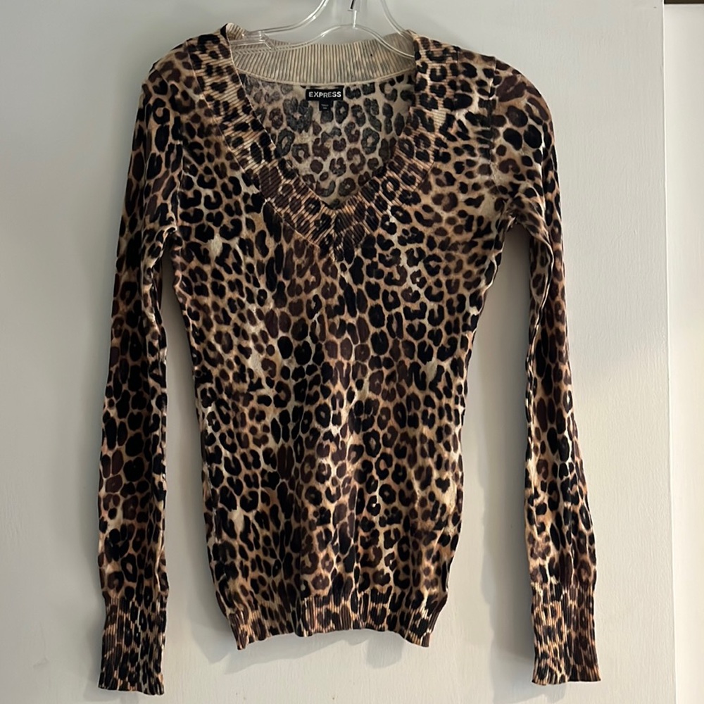 Express  XS sweater